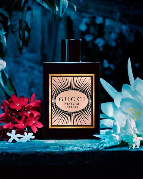 gucci bloom david jones